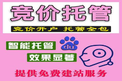 竞价SEM实战案例：如何提高网站转化率？